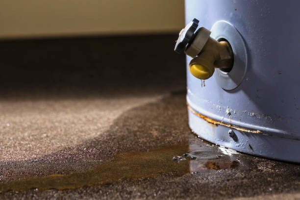 Best Local water damage restoration  in Apple Mountain Lake, VA