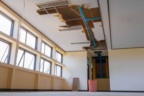 Best Ceiling water damage repair  in Apple Mountain Lake, VA