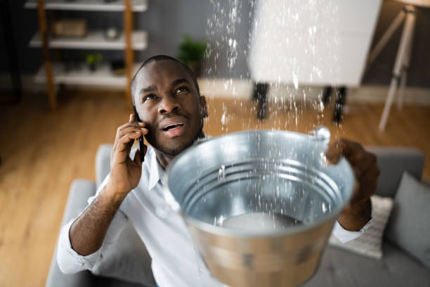 Best Professional water damage repair  in Apple Mountain Lake, VA