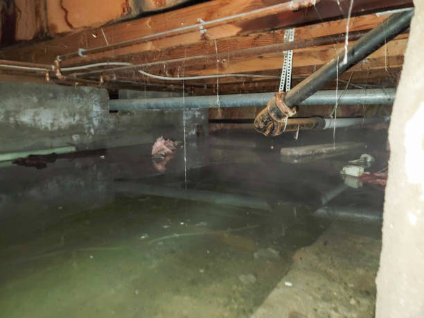 Best Fire Damage Restoration  in Apple Mountain Lake, VA