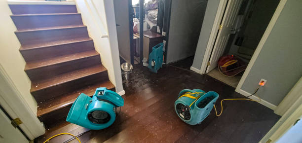 Carpet water damage restoration in VA