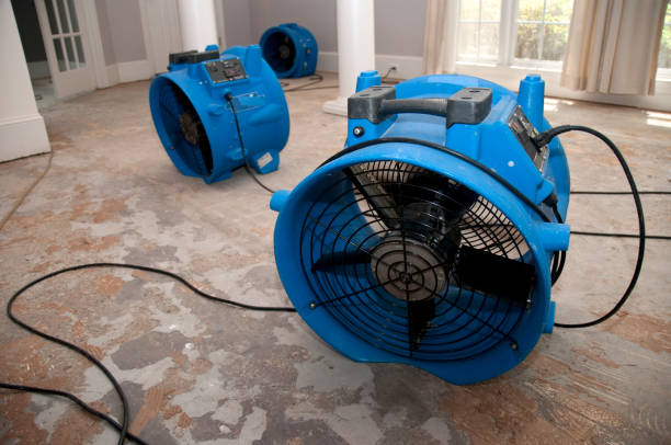 Best Flood damage cleanup  in Apple Mountain Lake, VA