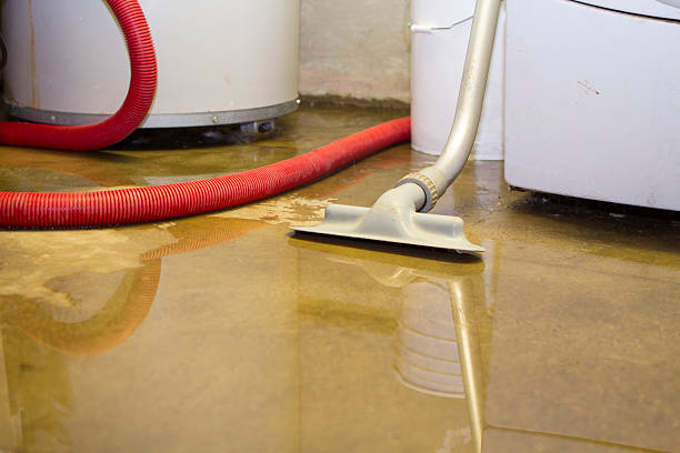 Best Water damage contractors near me  in Apple Mountain Lake, VA