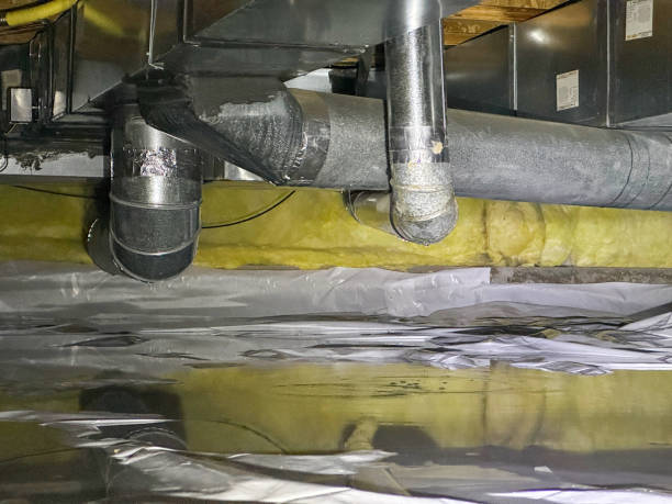 Best Water damage cleanup near me  in Apple Mountain Lake, VA